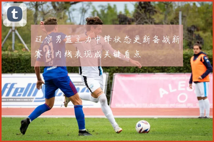 辽宁男篮主力中锋状态更新备战新赛季内线表现成关键看点